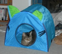 kitty house 2.jpg